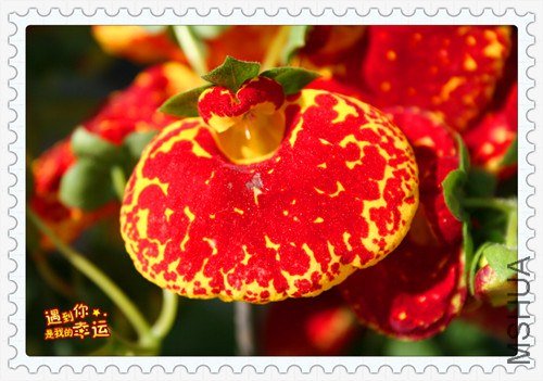 ��Ƭ 042_����.jpg