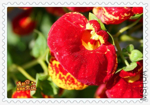 ��Ƭ 043_����.jpg