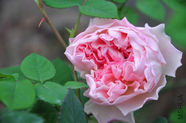 ���� 503_����.jpg