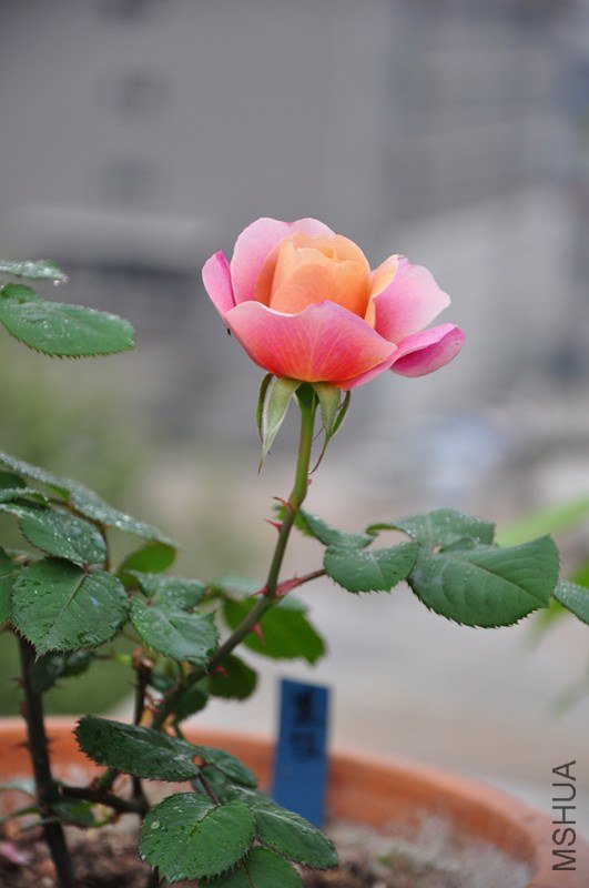 ���� 618_����.jpg