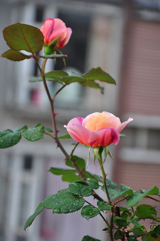 ���� 648_����.jpg