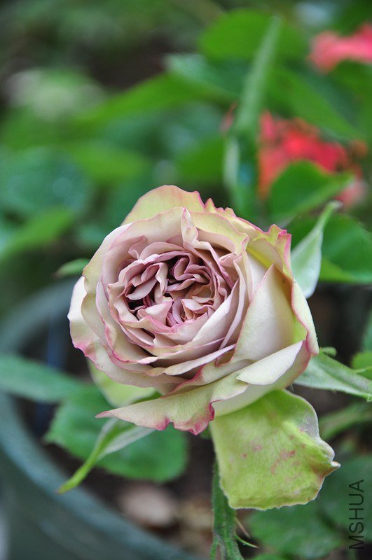 ���� 641_����.jpg