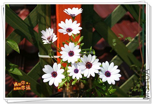 ��Ƭ 032_����.jpg