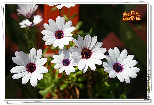 ��Ƭ 033_����.jpg