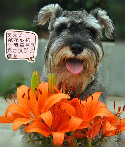 2011���»� 018_����.jpg