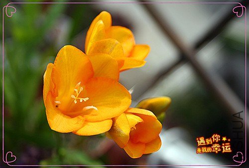 ��Ƭ 026_����.jpg