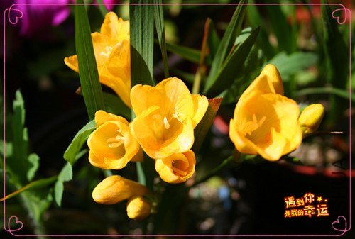 ��Ƭ 025_����.jpg