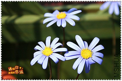 ��Ƭ 034_����.jpg