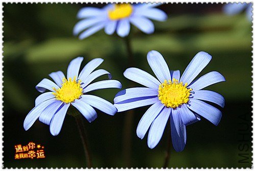 ��Ƭ 037_����.jpg