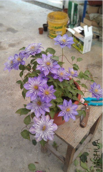 QQ��ͼ20130414185750_����.jpg