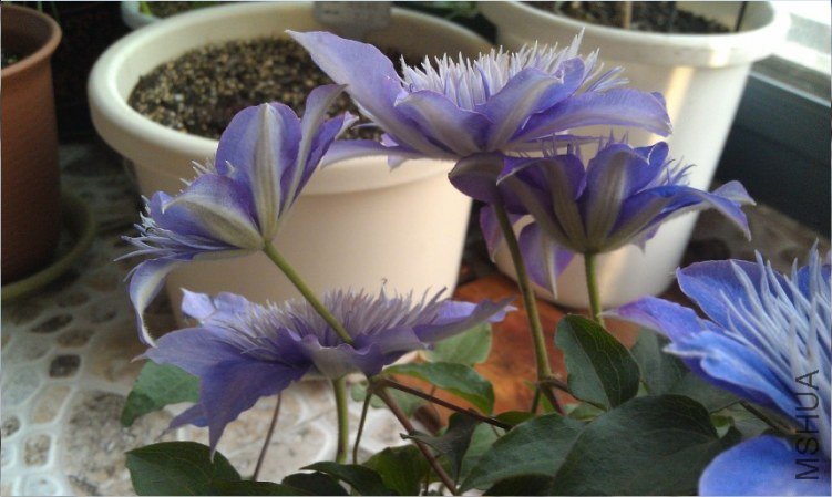 QQ��ͼ20130414185805.jpg