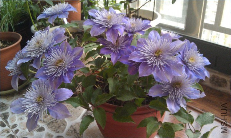 QQ��ͼ20130414185810.jpg