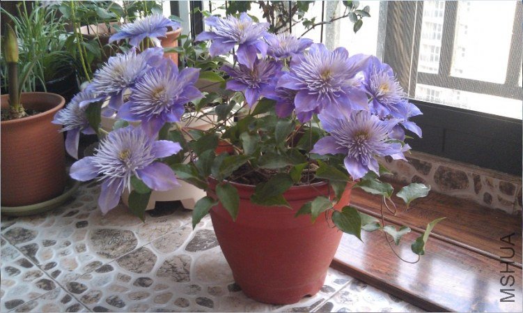 QQ��ͼ20130414185814.jpg