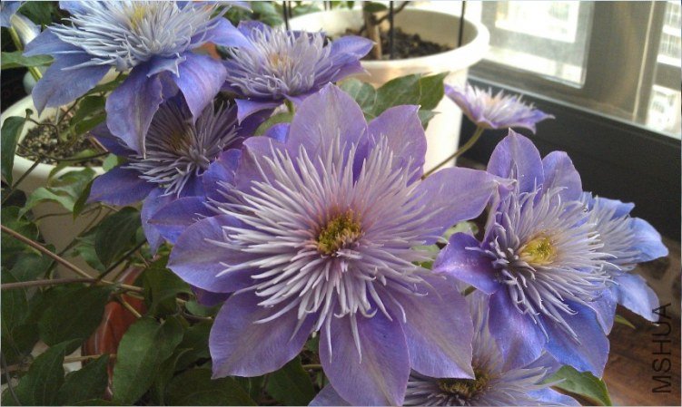 QQ��ͼ20130414185818.jpg