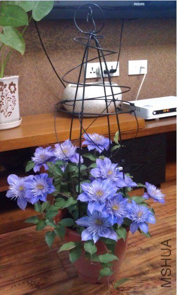 QQ��ͼ20130414185842.jpg