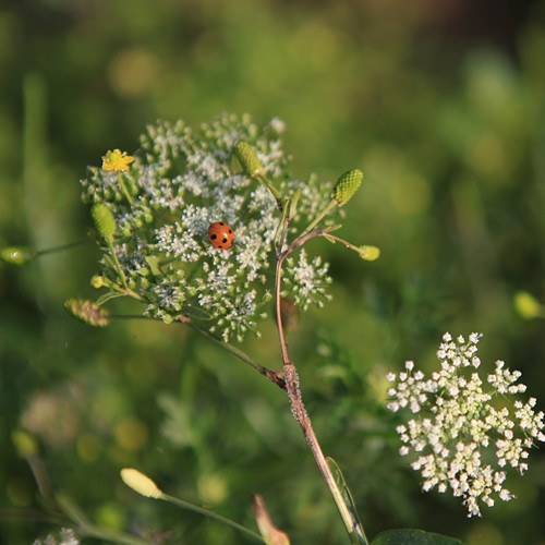 �ΰ�����򡪡�·�� (9).jpg