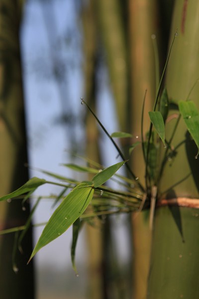 �ΰ�����򡪡�·�� (11).jpg