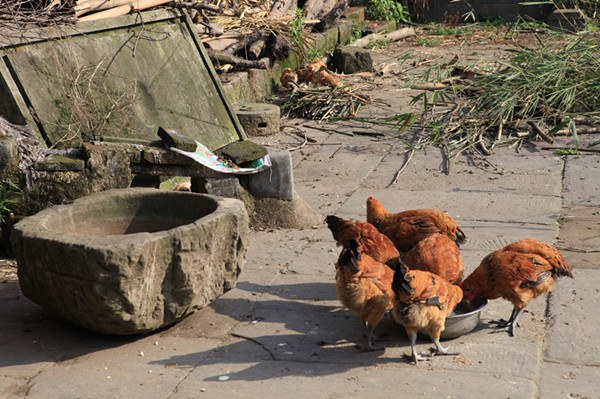 �ΰ�����򡪡�·�� (15).jpg