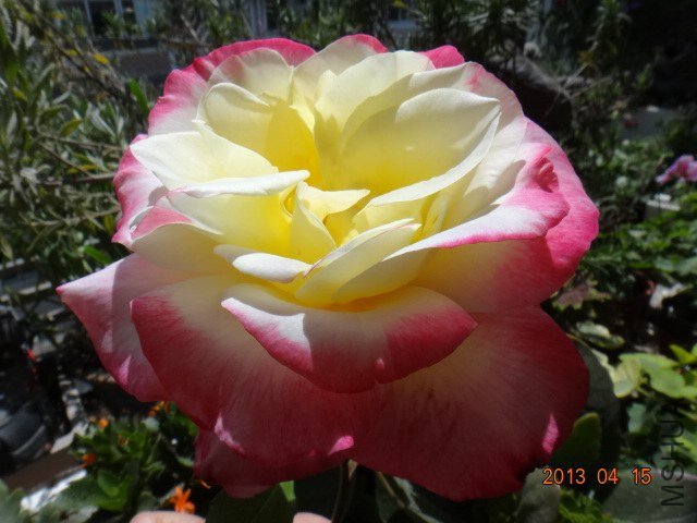 DSC04214.JPG