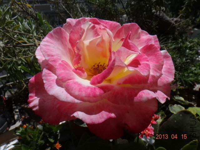 DSC04215.JPG