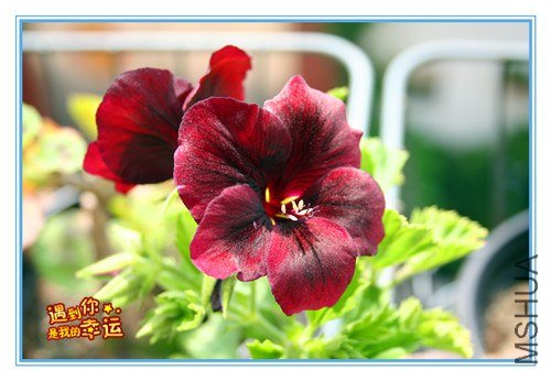 ��Ƭ 023_����.jpg