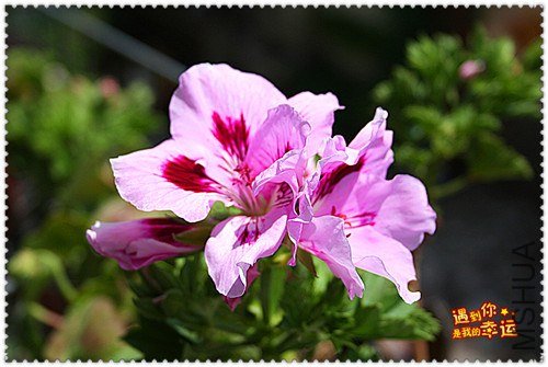 ��Ƭ 044_����.jpg