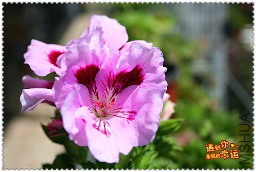 ��Ƭ 046_����.jpg