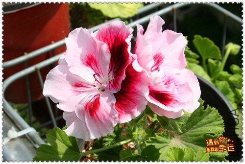 ��Ƭ 050_����.jpg