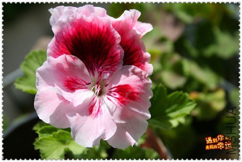 ��Ƭ 051_����.jpg