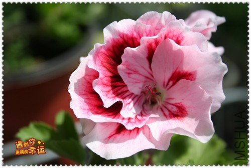 ��Ƭ 053_����.jpg