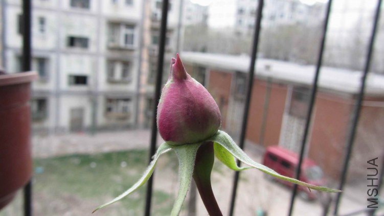 IMG_0020.jpg