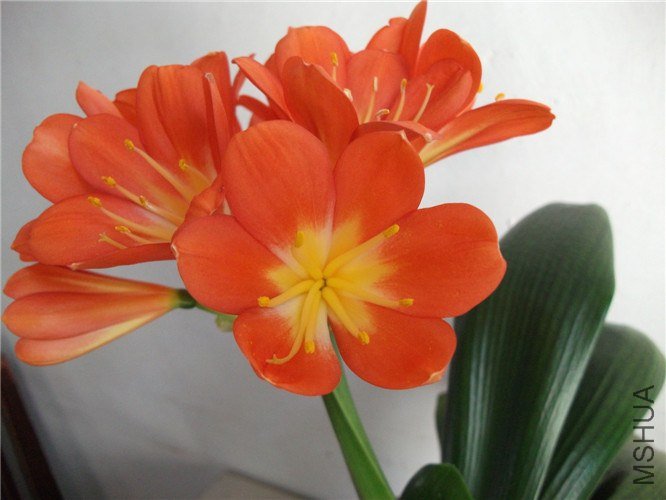 ��Ƭ 031.jpg