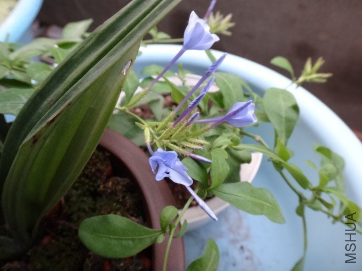 QQ��ͼ20130415184652.jpg