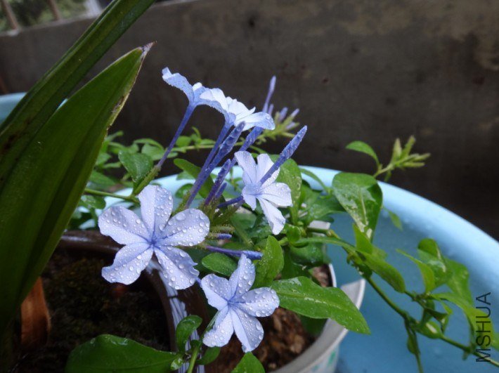 QQ��ͼ20130415185151.jpg