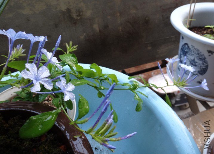 QQ��ͼ20130415185159.jpg