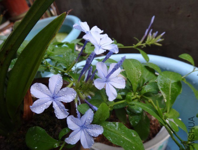 QQ��ͼ20130415185207.jpg