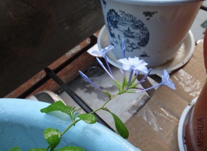 QQ��ͼ20130415185221.jpg
