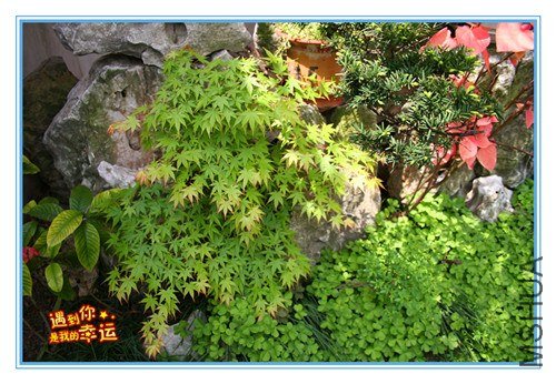 ��Ƭ 064_����.jpg