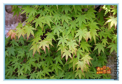 ��Ƭ 066_����.jpg