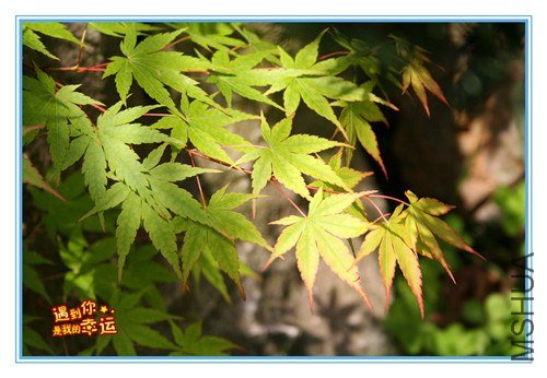 ��Ƭ 067_����.jpg