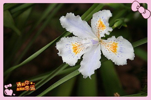 ��Ƭ 071_����.jpg