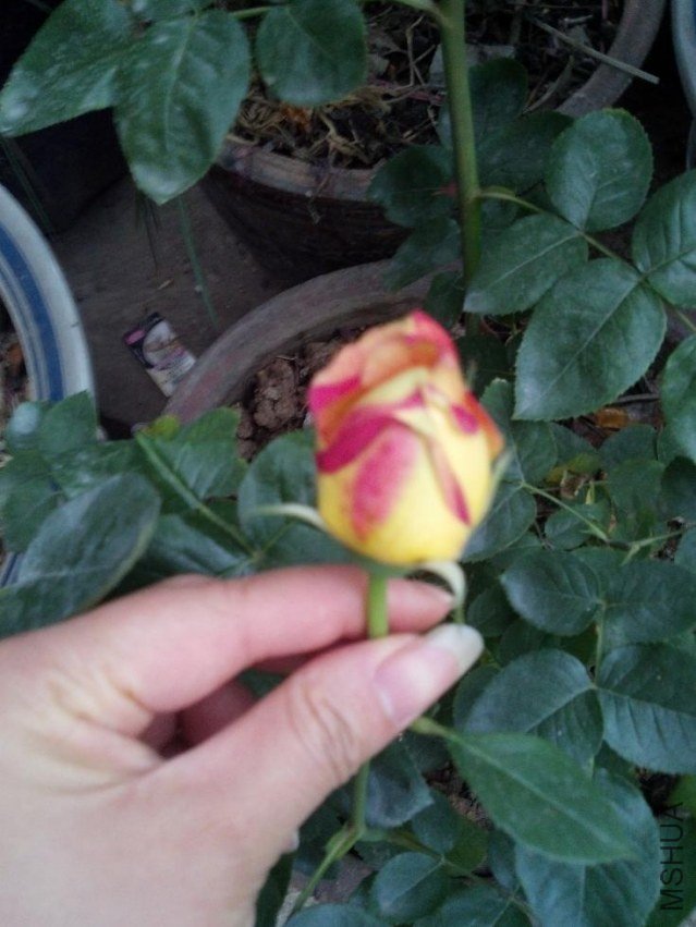 2013-04-16_06-00-22_669.jpg
