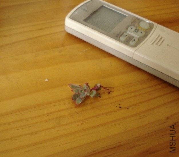 OAYRE3O(O8$C${W29J8).jpg
