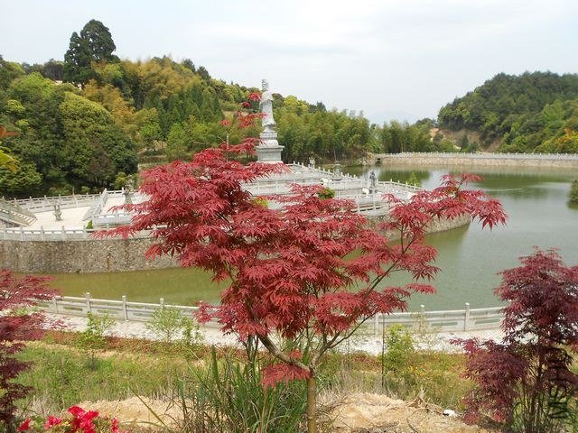 DSCN2993.jpg