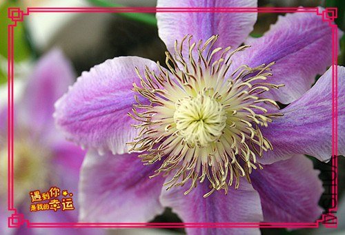 ��Ƭ 090_����.jpg