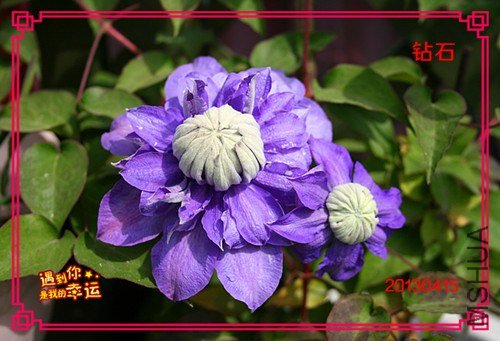 ��Ƭ 081_����.jpg