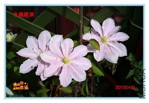 ��Ƭ 082_����.jpg