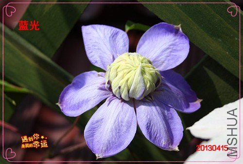 ��Ƭ 083_����.jpg