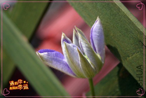 ��Ƭ 084_����.jpg