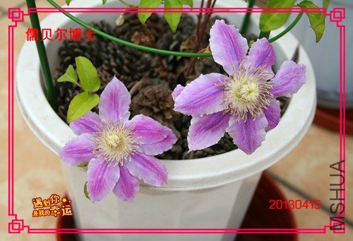 ��Ƭ 086_����.jpg